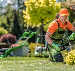 Professional Caucasian Gardener in His 30s and the Beautiful Residential Backyard Garden. Summer Time Maintenance.